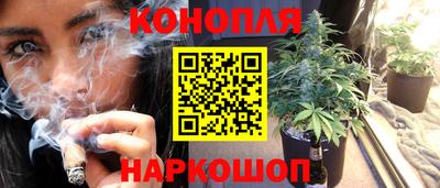 альфа пвп Краснознаменск