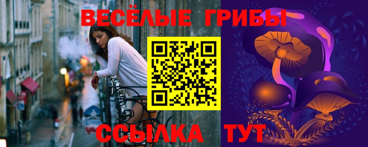 Галлюциногенные грибы MAGIC MUSHROOMS  Вход с VPN  Ишимбай 